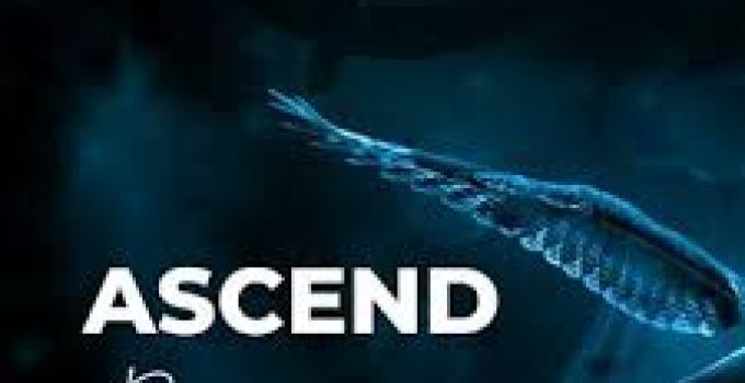 Download Music Mp3- Dunsin Oyekan– Ascend Video & Lyrics