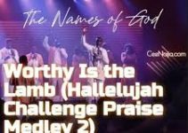 Download Music Mp3- Nathaniel Bassey – Worthy Is The Lamb Video & Lyrics